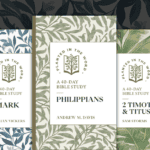 Bridging the Gap from Biblical Scholarship to Practical Application